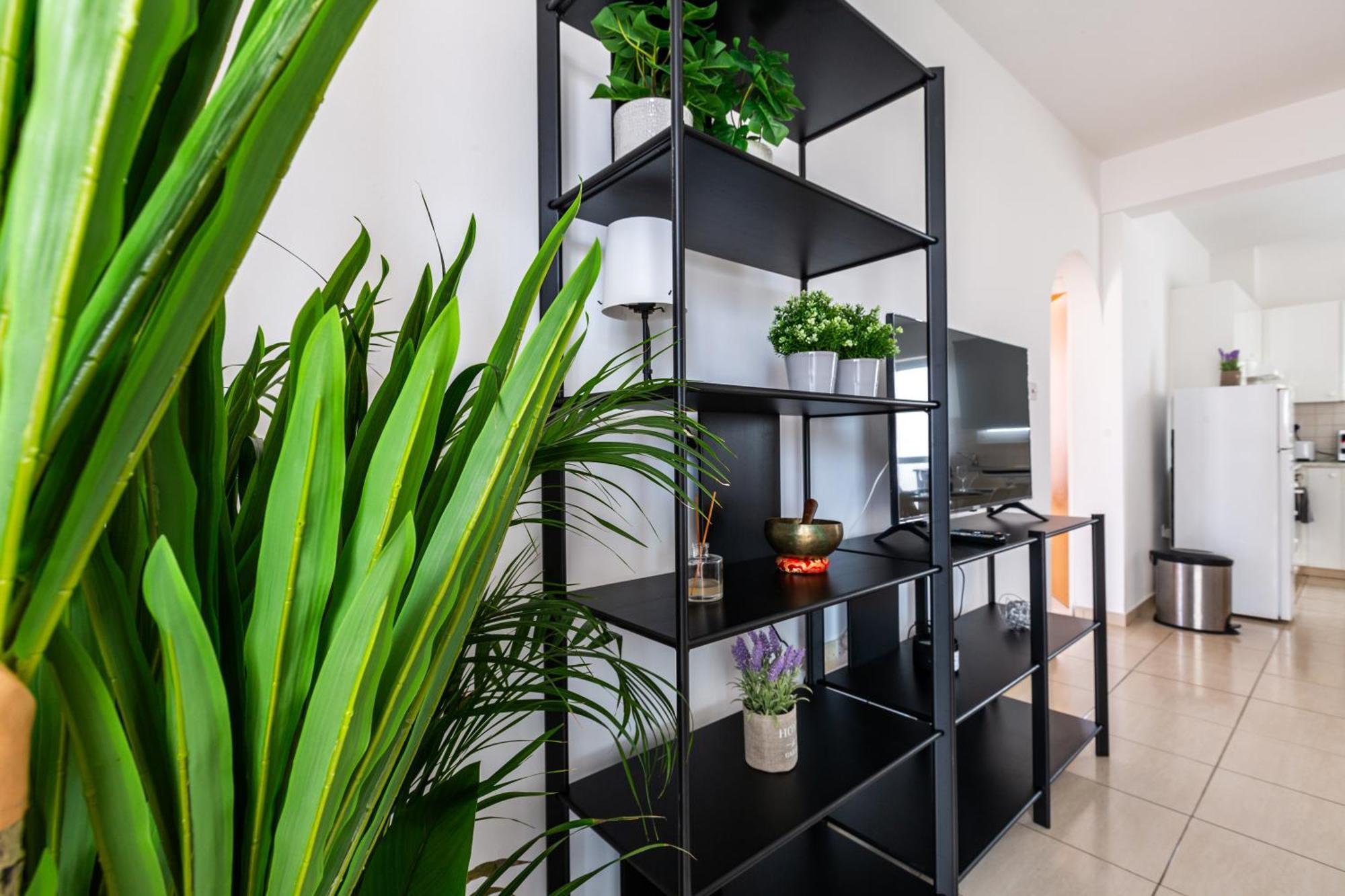 Beautiful 2 Bed Apartment In Paphos Cyprus Екстериор снимка